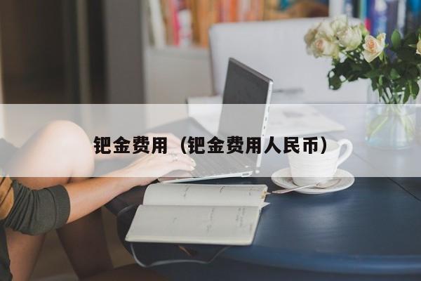 钯金费用（钯金费用人民币）