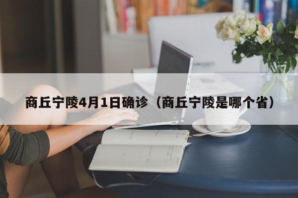 商丘宁陵4月1日确诊（商丘宁陵是哪个省）