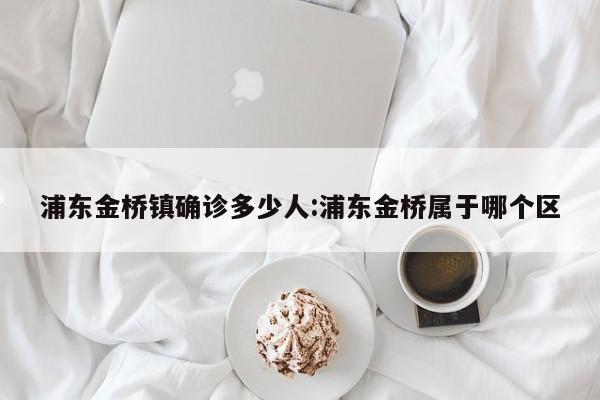 浦东金桥镇确诊多少人:浦东金桥属于哪个区