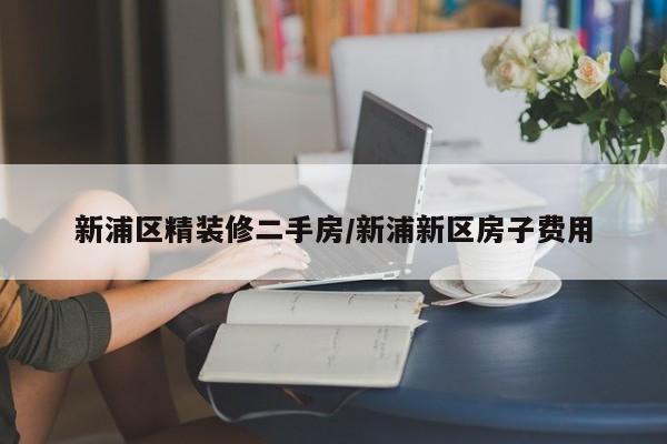 新浦区精装修二手房/新浦新区房子费用