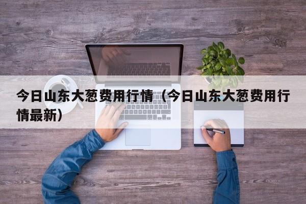 今日山东大葱费用行情（今日山东大葱费用行情最新）