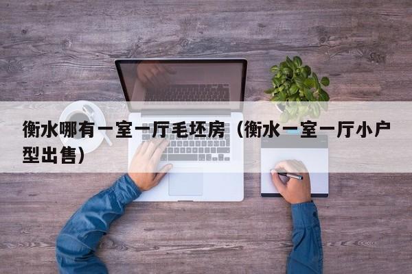 衡水哪有一室一厅毛坯房（衡水一室一厅小户型出售）