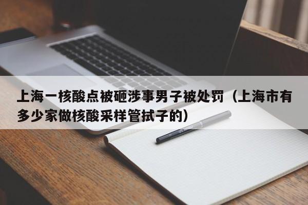 上海一核酸点被砸涉事男子被处罚（上海市有多少家做核酸采样管拭子的）