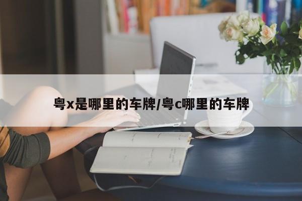 粤x是哪里的车牌/粤c哪里的车牌