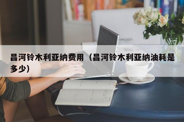 昌河铃木利亚纳费用（昌河铃木利亚纳油耗是多少）
