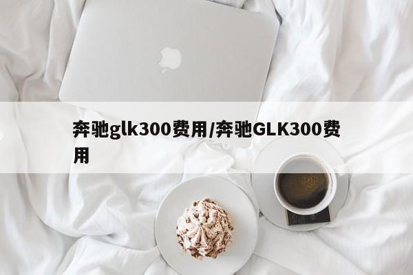 奔驰glk300费用/奔驰GLK300费用