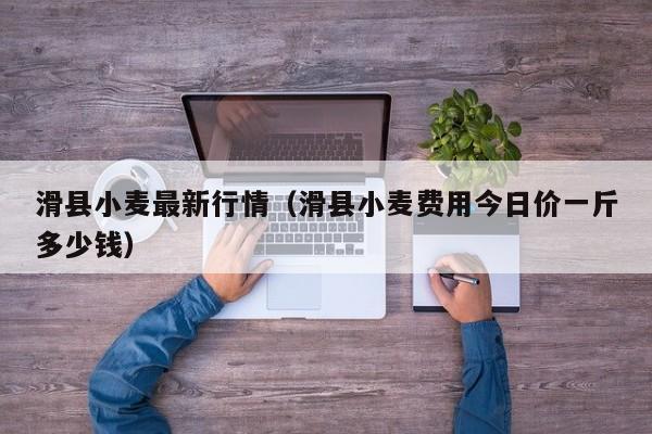 滑县小麦最新行情（滑县小麦费用今日价一斤多少钱）