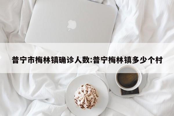 普宁市梅林镇确诊人数:普宁梅林镇多少个村