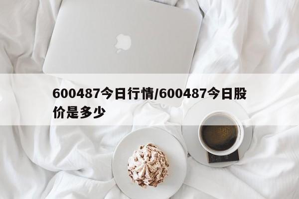 600487今日行情/600487今日股价是多少