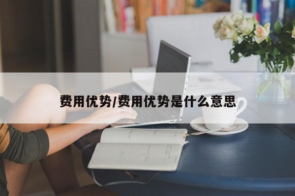 费用优势/费用优势是什么意思