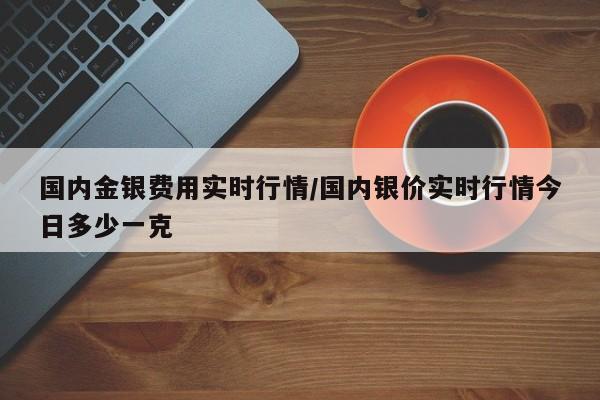 国内金银费用实时行情/国内银价实时行情今日多少一克