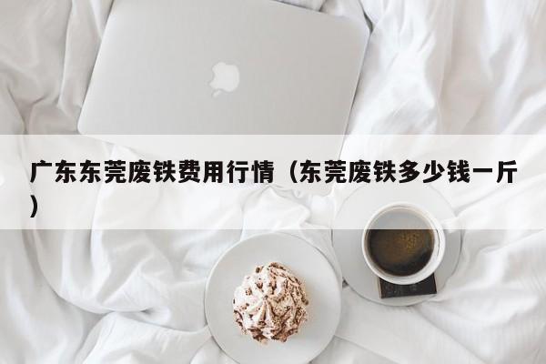 广东东莞废铁费用行情（东莞废铁多少钱一斤）